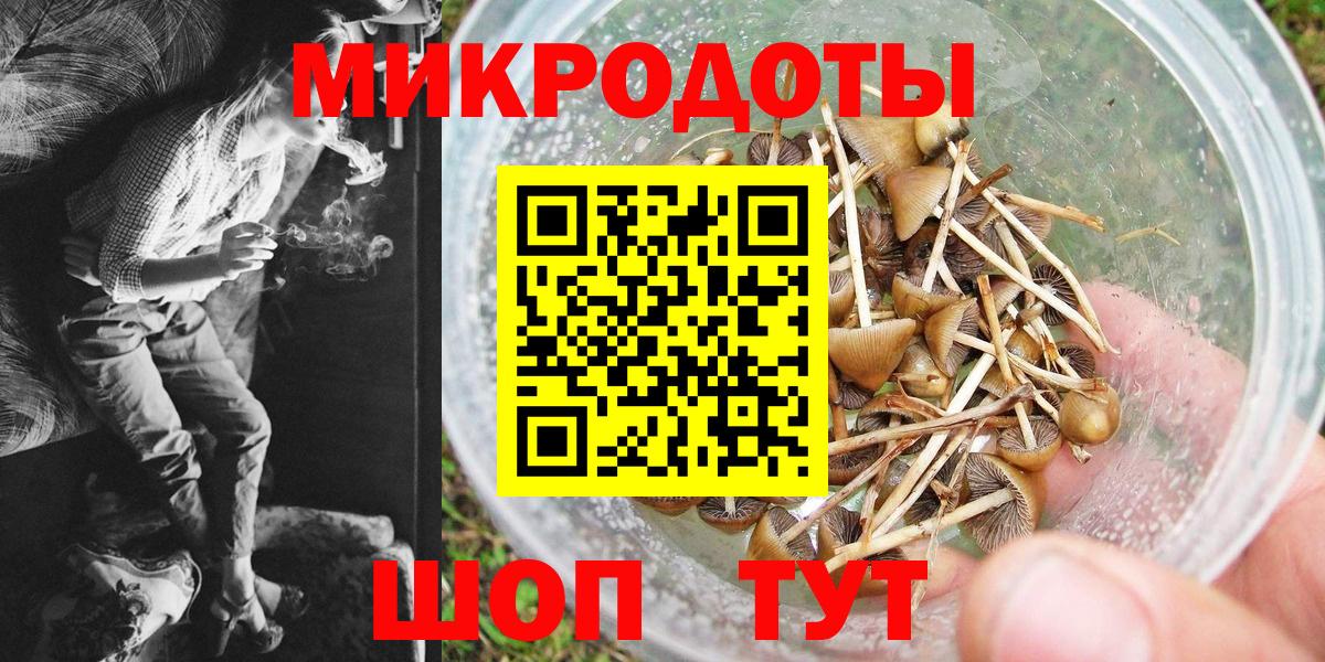 Галлюциногенные грибы Psilocybine cubensis  Вход с VPN  Галлюциногенные грибы мухоморы  Алексеевка 
