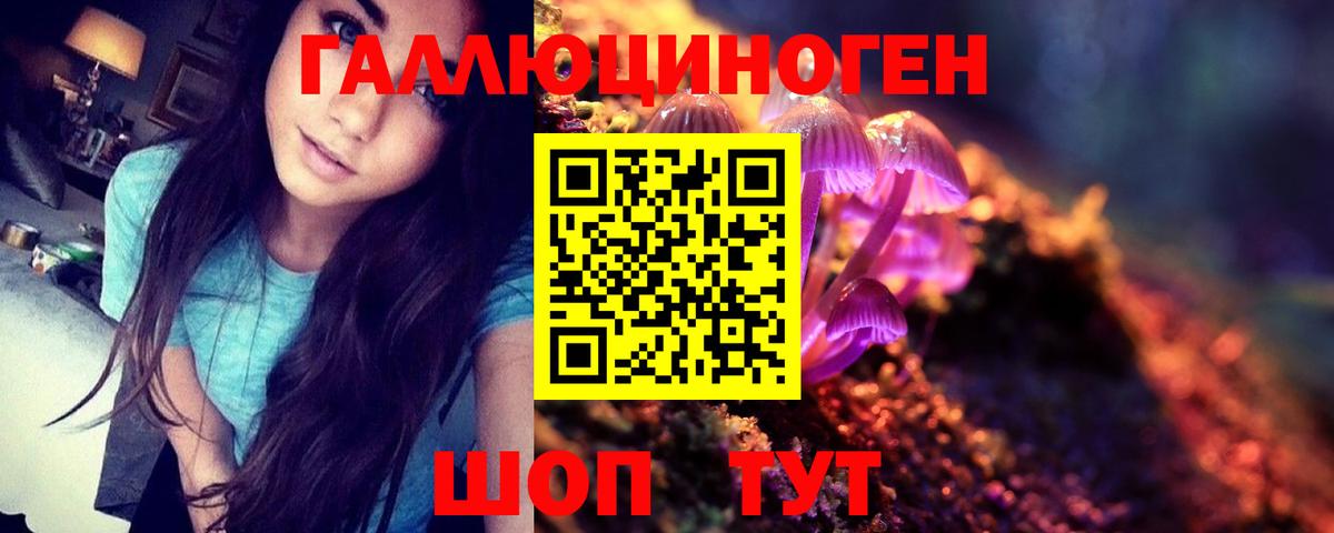 Галлюциногенные грибы Magic Shrooms Алексеевка